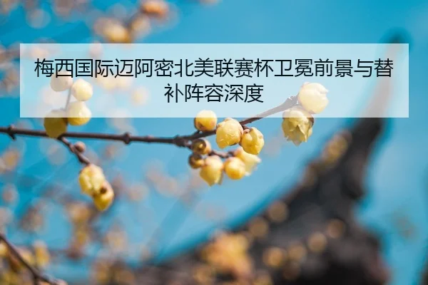 mei-xi-guo-ji-mai-a-mi-bei-mei-lian-sai-bei-wei-mian-qian-jing-yu-ti-bu-zhen-rong-shen-du-2-210.jpg