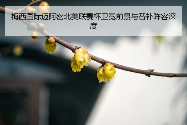 mei-xi-guo-ji-mai-a-mi-bei-mei-lian-sai-bei-wei-mian-qian-jing-yu-ti-bu-zhen-rong-shen-du-3-711.jpg